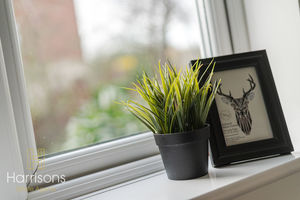 Photo 18- click for photo gallery